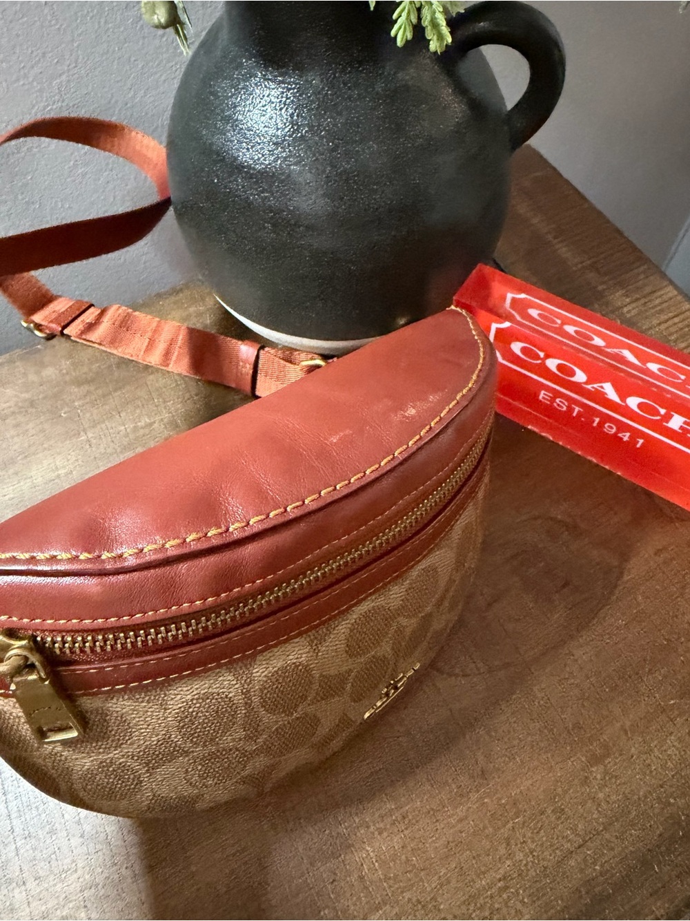 Coach Bethany Belt Bag - Picture 8 of 14